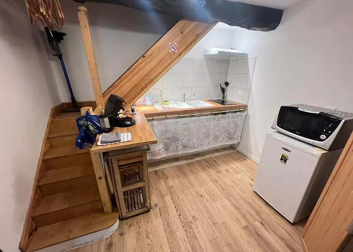 Magnifique Logement Avec Sauna Infra Rouge